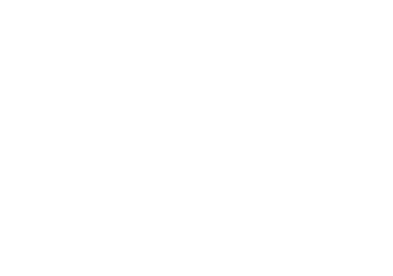 MENAX